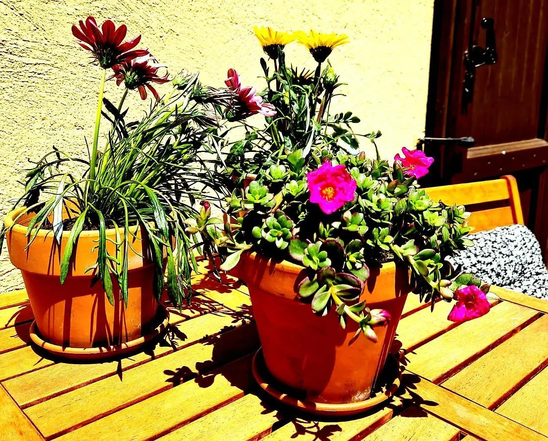 Acquadolce Villa Salo Holiday home